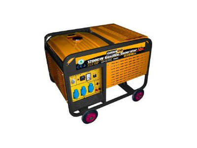 Generator 220-240V 50HZ EWI D12000